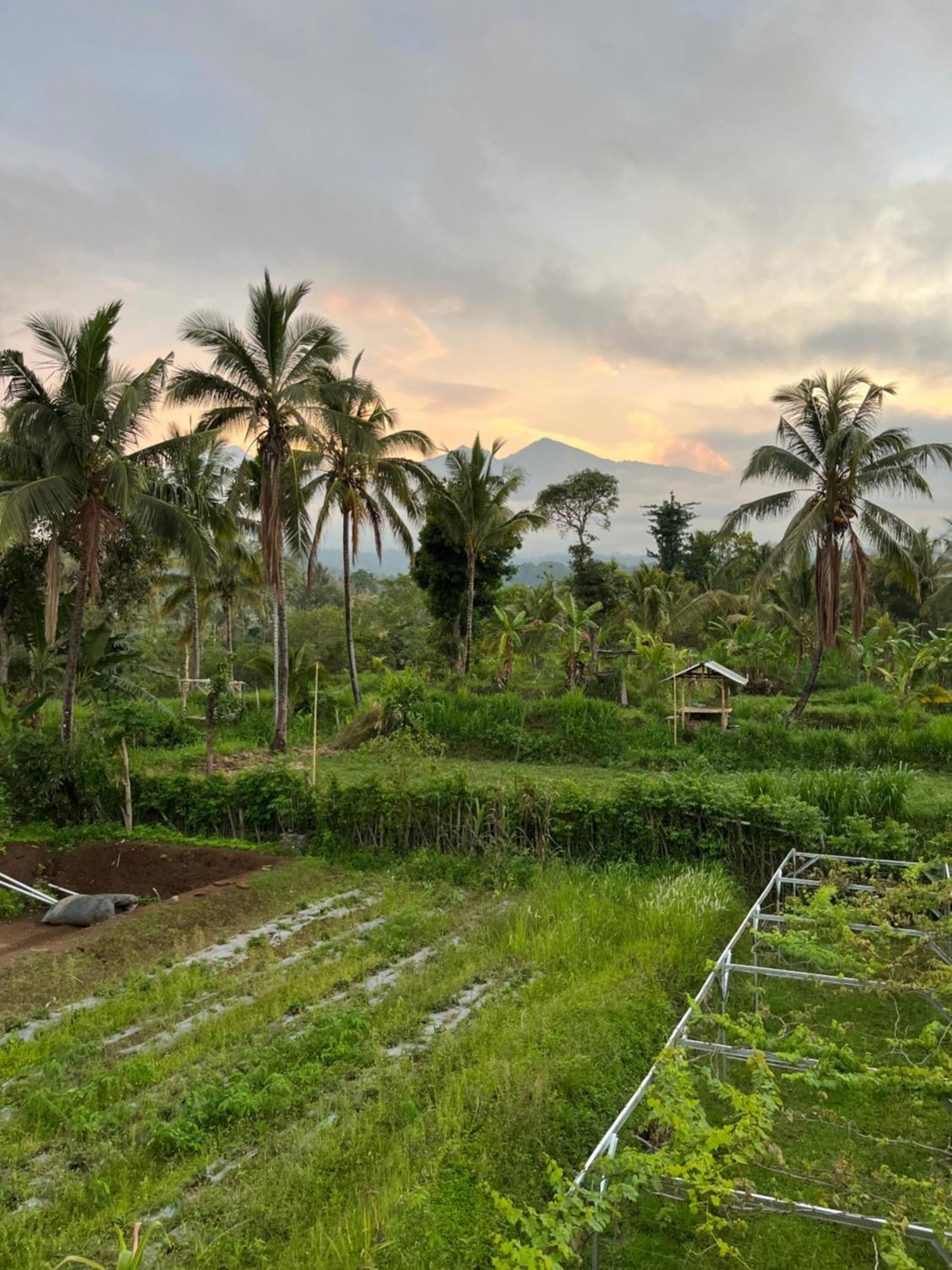 Rinjani Eco Villa Senaru Bayan Luaran gambar