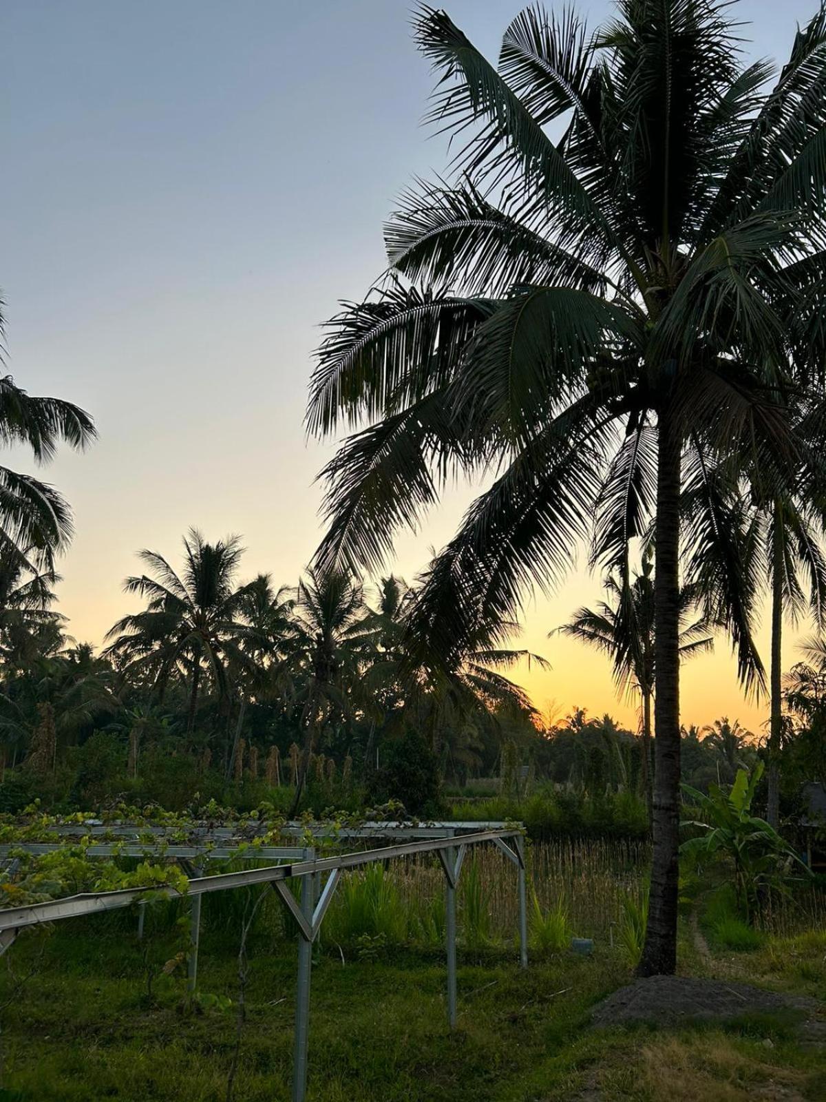 Rinjani Eco Villa Senaru Bayan Luaran gambar