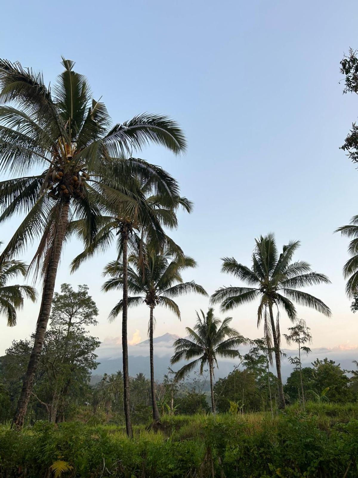 Rinjani Eco Villa Senaru Bayan Luaran gambar