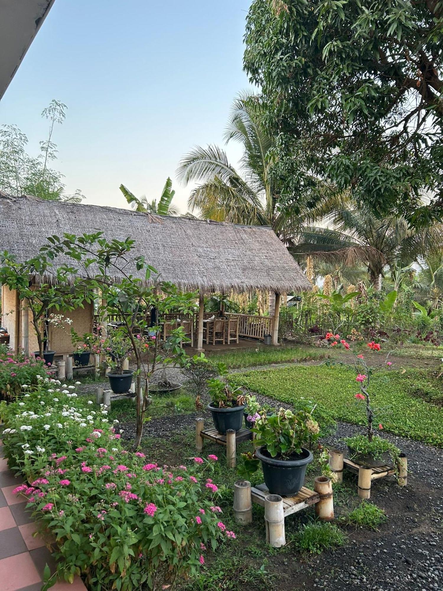 Rinjani Eco Villa Senaru Bayan Luaran gambar